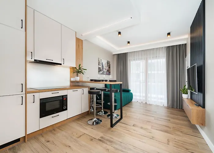 Krakowiak Apartment 65